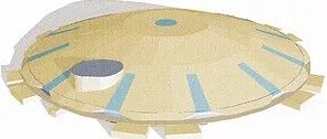 DSM image
